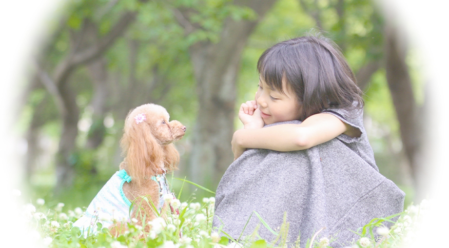この娘の笑顔の為に飼ったトイプードル1匹から当犬舎は始まりました