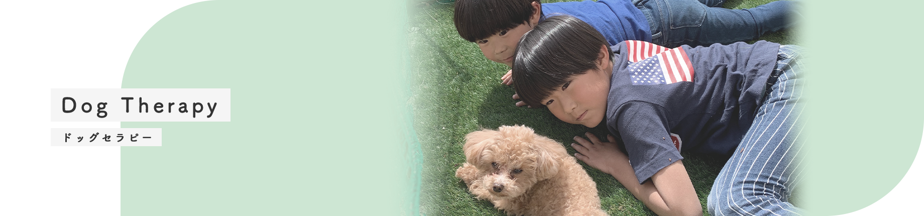 ドッグセラピー