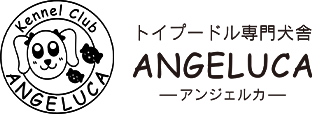 ANGELUCA