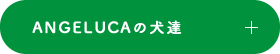 ANGELUCAの犬達